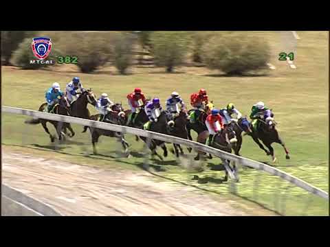 The Have Mercy Cup | Subtropical | R.K.Vaibhav