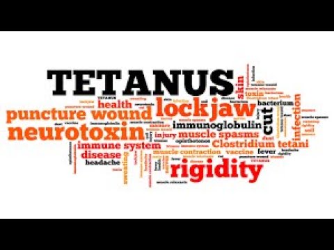 tetanus bacillus parazita)