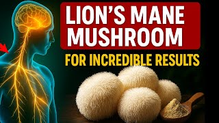 11 Lion’s Mane Mushroom Benefits You’ve Probably Never Heard (Supports Memory, Mood & Nerve Health)