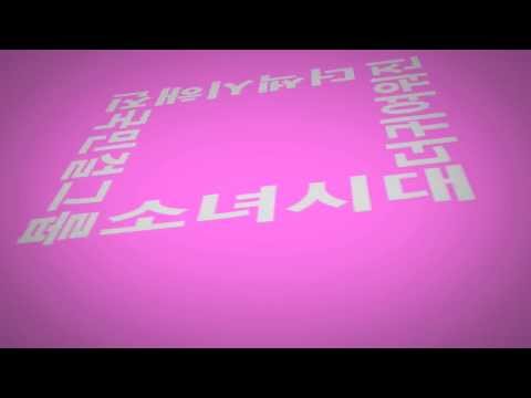 [Fanmade] SNSD - 'Dream Concert 2010' promotion