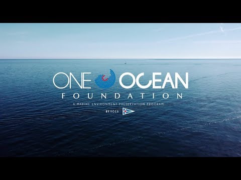 SCL Qualifier 2 2019: Day 2 - The One Ocean Foundation