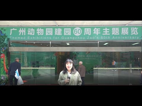 LIVE: Welcome to world’s one and only VR Zoo in S China's Guangzhou