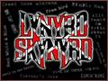 Lynyrd Skynyrd-The Ballad of Curtis Loew