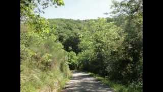 THE BREATH OF MY LAND