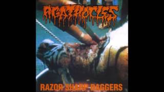 Agathocles - Razor Sharp Daggers (1995) Full Album HQ (Mincecore)