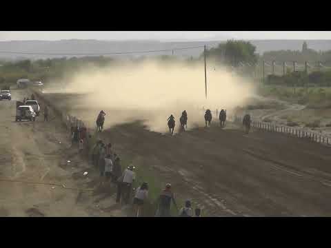 NEGRO EL 8  Club Hípico Añelo - Añelo - Neuquén - 12-03-2023