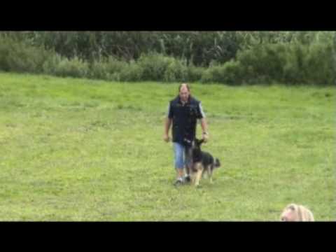 download lagu mp3 mp4 Rci Chien, download lagu Rci Chien gratis, unduh video klip Rci Chien