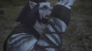 FINAL FANTASY XIVる！パッチ5.0 漆黒のヴィランズ無実況のんびりプレイ～ その7(1080p 60fps) HD
