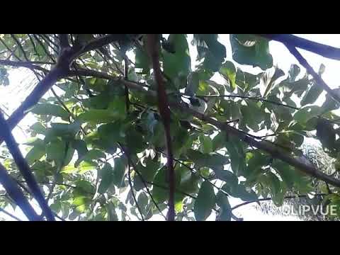 #SãoFrancisco  Um pouquinho do meu dia,fiz almoço carreguei a baike e tudo mais