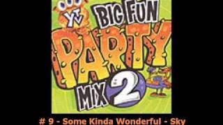 Some Kinda Wonderful - Sky _ # 9 - Big Fun Party Mix 2