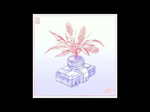 goosetaf & Timothy Infinite   Bumblebee