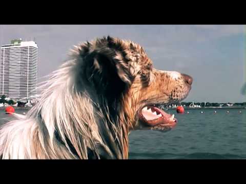 Water Shepherds - Aussies im Wasservergnügen