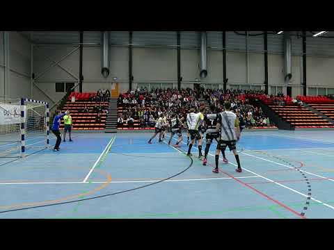 handbal tongeren vs OCI 24 29 sportbeat goals