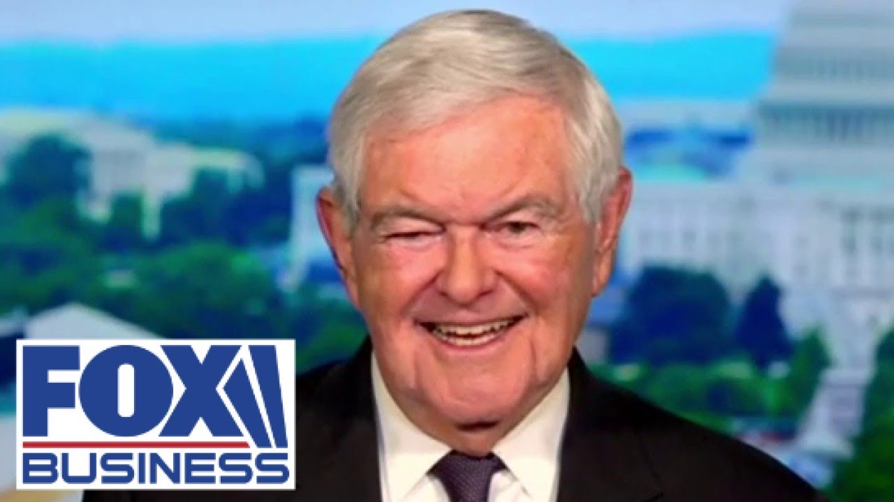 Newt Gingrich unpacks the 'civil war' in the Democratic Party