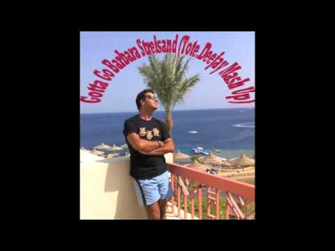 Duck Sauce - Gotta Go Barbara Streisand (Tote Deejay MashUp)