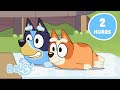 AO VIVO Diversão Ao Ar Livre Com Bluey ️ 2 HORAS Bluey Português Brasil Canal Oficial