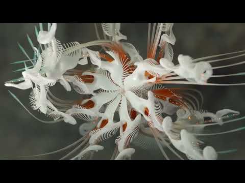 CASSIAN - “Dun Dun” [Afterlife Records]