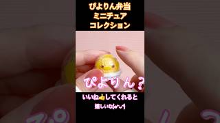 【ガチャガチャ 開封】ご飯だから崩れないよ ぴよりん弁当 ACE ミニチュアトランク ぴよりん弁当 白菜マスコット 王座