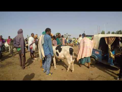 Eshururu (witness) - DEREB The Ambassador