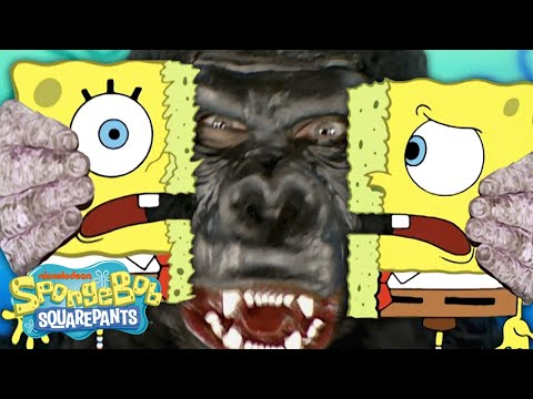 為什麼 "我有一個意外 "是一個傳說中的海綿寶寶的情節？ (Why "I Had an Accident" is a LEGENDARY Episode of SpongeBob ?)