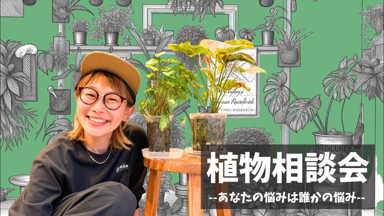 【植物相談会】あなたの悩みは誰かの悩み🍒