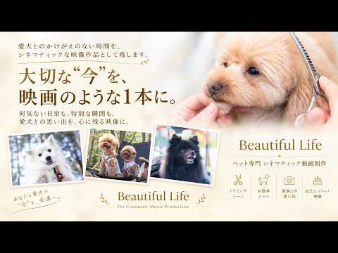 出張撮影｜わんちゃん・ペットの撮影いたします イメージ1