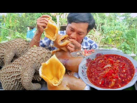 Yummy eat Cow ears & Beef Offal with chili sauce and...