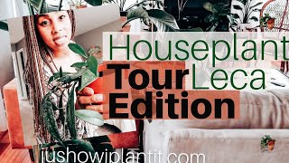 Houseplant Tour; Leca Edition- Tour The Houseplants I have In LECA Semi Hydroponics