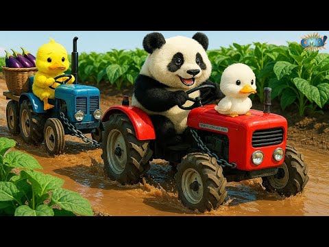 When a Panda Becomes a Hero 🐼❤️— Duck Stuck in Mud Gets Saved