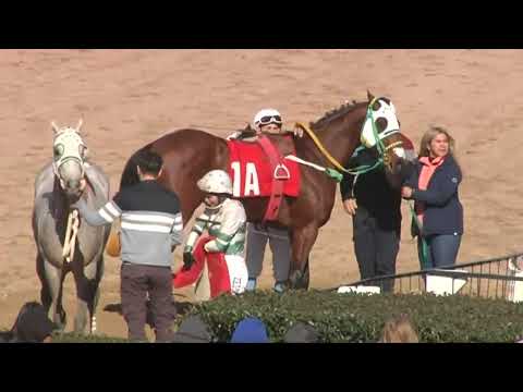 SINT PAYSANDU 230718 c03 - 1° NICHE