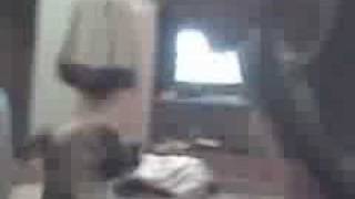 Loly's new trick taught by Marks