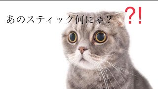 初めてチャオチュールを見た猫の反応が...