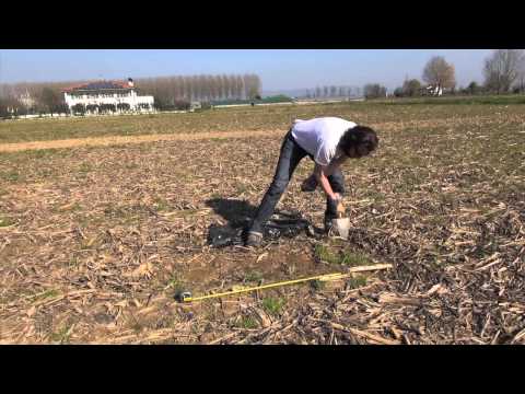 Parassita tra noi Helminths in Omsk