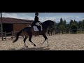 Ruin Lusitano Te koop 2018 Isabel