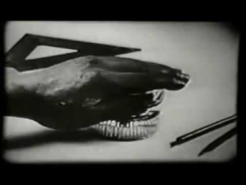 The Tantalizing Fly (1919) Max Fleischer Animation