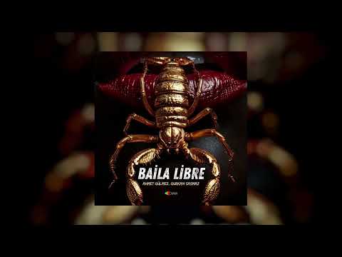 Ahmet Gülmez, Gurkan Sasmaz - Baila Libre (Original Mix)