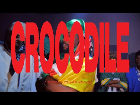 AOPDH CROCODILE (BY LITS  KAPPA MALANZEL)