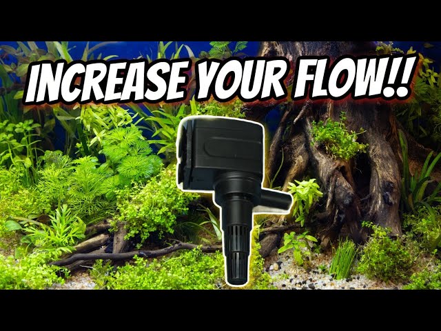 Judge.me YouTube video placeholder