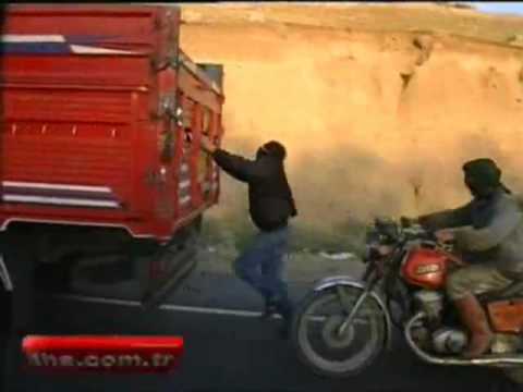 como roubar uma ovelha