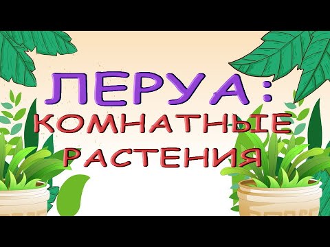 Леруа:КОМНАТНЫЕ РАСТЕНИЯ,цветы,18.11.21,ТЦ "Космопорт",Самара,ул. Дыбенко,30.