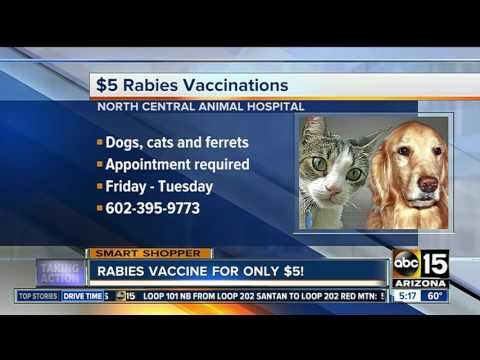 when should i get my dog a rabies shot