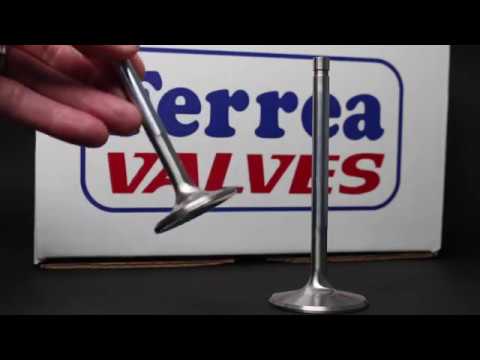 Ferrea- 5000  Series & 6000 Series valves