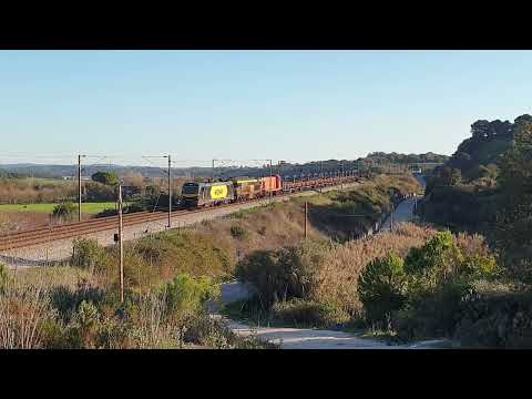 Comboio de Carril n.º 74341 - Paialvo