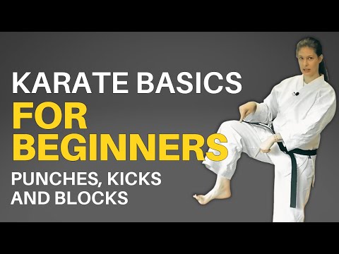 Karate Basics for Beginners (Follow-along Lesson)