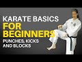 Karate Basics For Beginners Follow Along Lesson