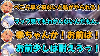 【両視点あり】”迷子になるぺこら”と”必死に敵と戦うフレア”のはちゃめちゃな煽り合いが面白すぎるw【ホロライブ/切り抜き】