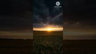 Download lagu Parthu parthu kangal song lyrics tamil melody songs evergreen songs #spbalasubrahmanyam #tamilmelody mp3