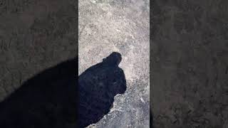 Download lagu Tidak semua hal bisa dianggap gampang#guyonwaton#gampil#cover#hiburan mp3