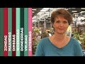 TV West Weekoverzicht 12 augustus 2017
