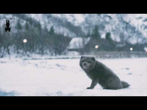 thomston x wafia 🐻❄️ window seat